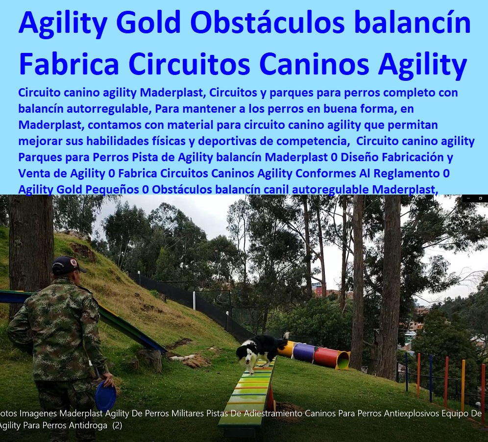 Circuito canino agility Parques para Perros Pista de Agility balancín Maderplast 0 Diseño Fabricación y Venta de Agility 0 Fabrica Circuitos Caninos Agility Conformes Al Reglamento 0 Agility Gold Pequeños 0 Obstáculos balancín can Circuito canino agility Parques para Perros Pista de Agility balancín Maderplast 0 Diseño Fabricación y Venta de Agility 0 Fabrica Circuitos Caninos Agility Conformes Agility De Perros, Pistas De Adiestramiento, Caninos Para Perros, Equipo De Agility Para Perros, Cunas Y Parideras Para Perros, Parques Para Perros, Corrales Para Perros, Jaulas cuidado de perros, Casas Para Perros Y Mascotas, Al Reglamento 0 Agility Gold Pequeños 0 Obstáculos balancín can